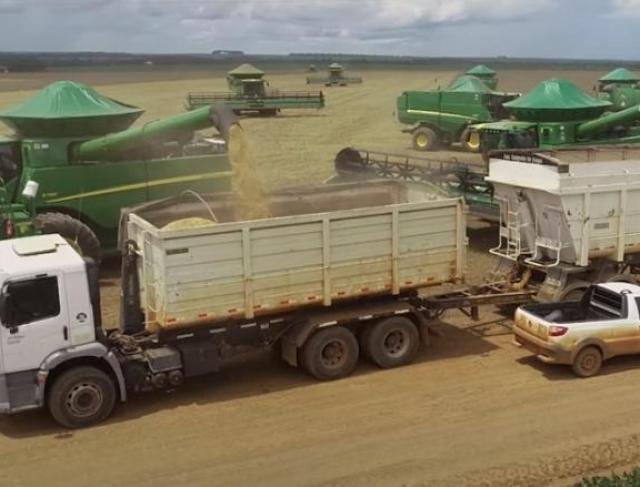 SOJA 2021/22- MATO GROSSO JÁ COLHEU MAIS DE 20% DA ÁREA
